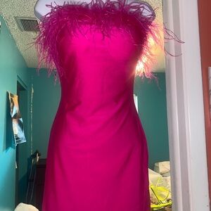 Elegant Pink Feather-Trimmed Dress